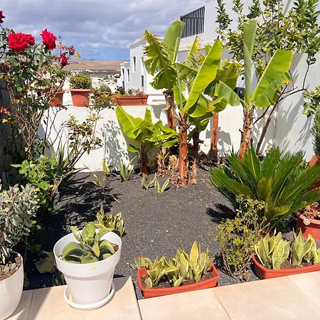 Casa Volcan * Tahiche